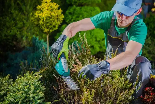landscaping services Brinckerhoff